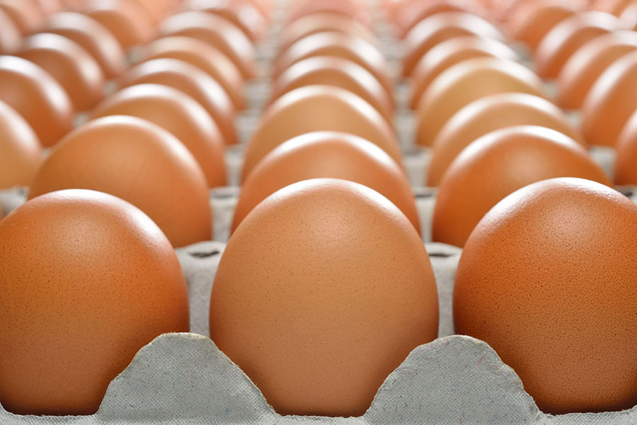 Eier vom Geflügelhof Teichweiden