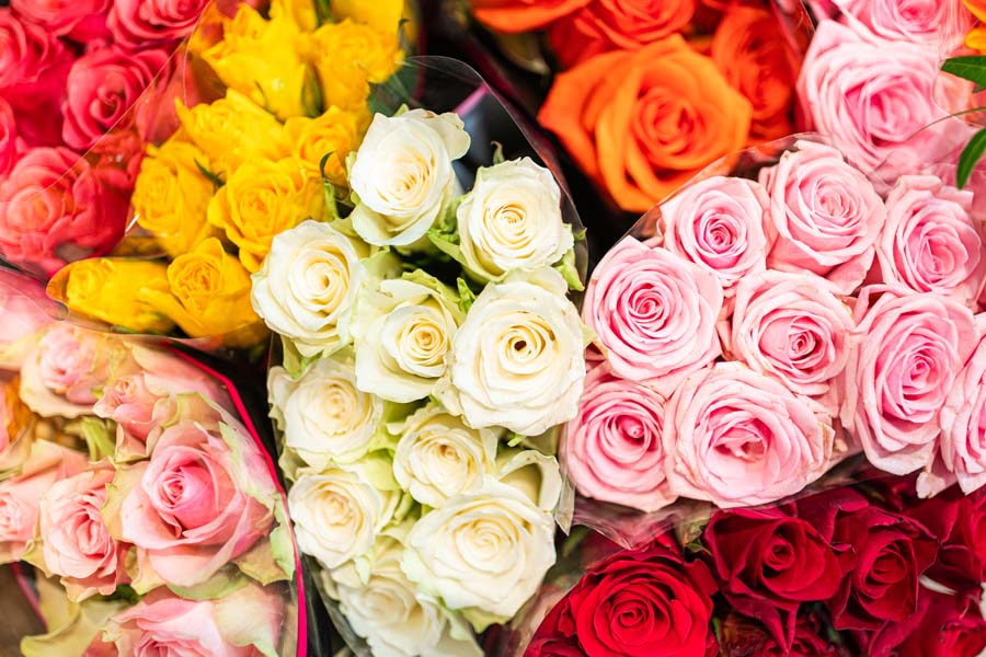 Blumen